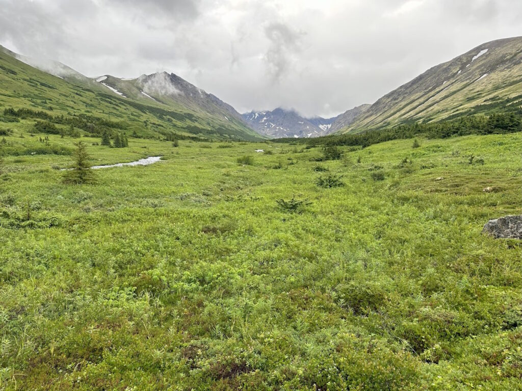 Williwaw Valley